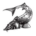 Sturgeon fish bend silhouette in engrving style. Logo for fishing, caviar label; menu and other business